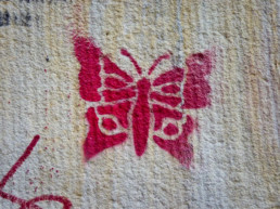 #0093 Butterfly