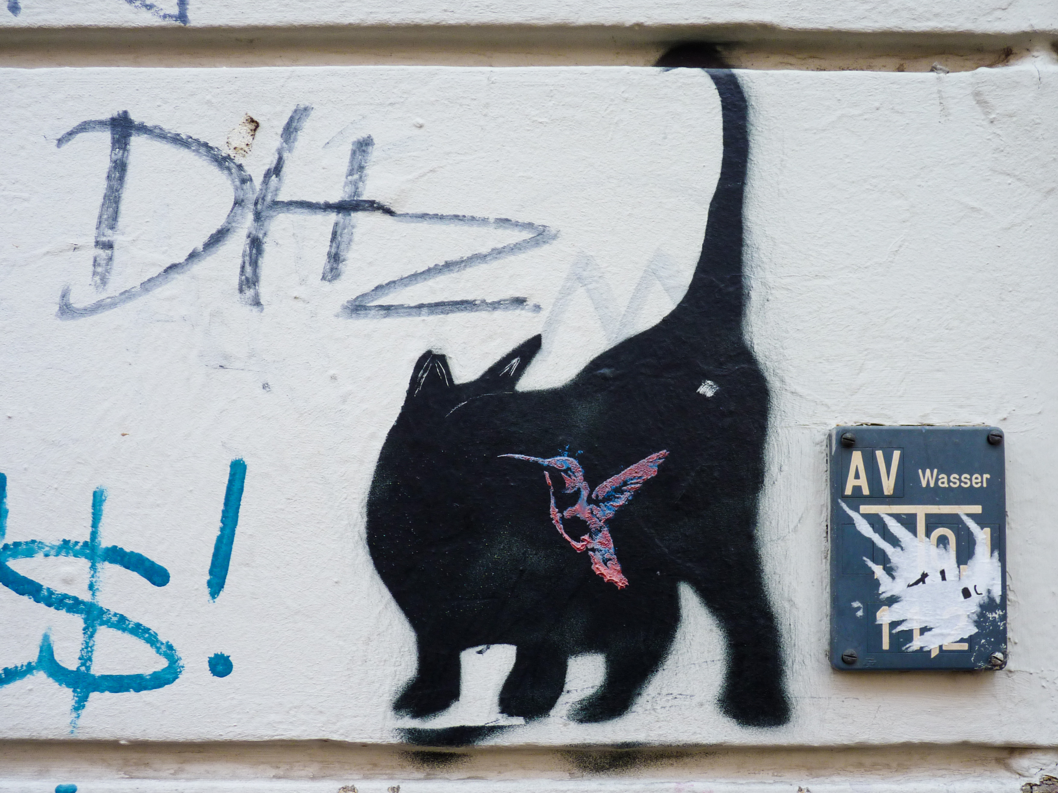#0176 Black Cat & the Hummingbird