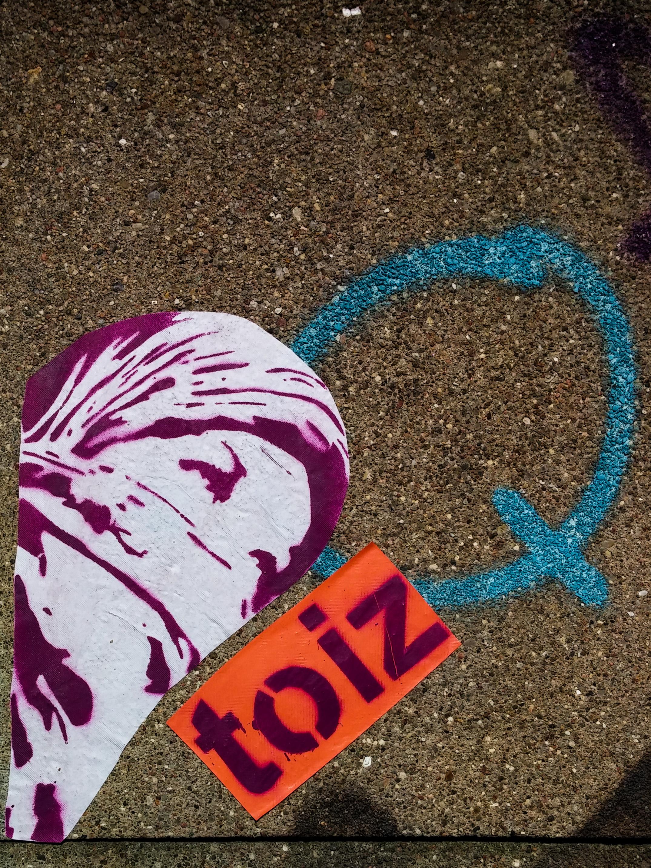 #0199 toiz