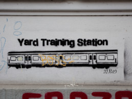 #0293 Yard Training Station