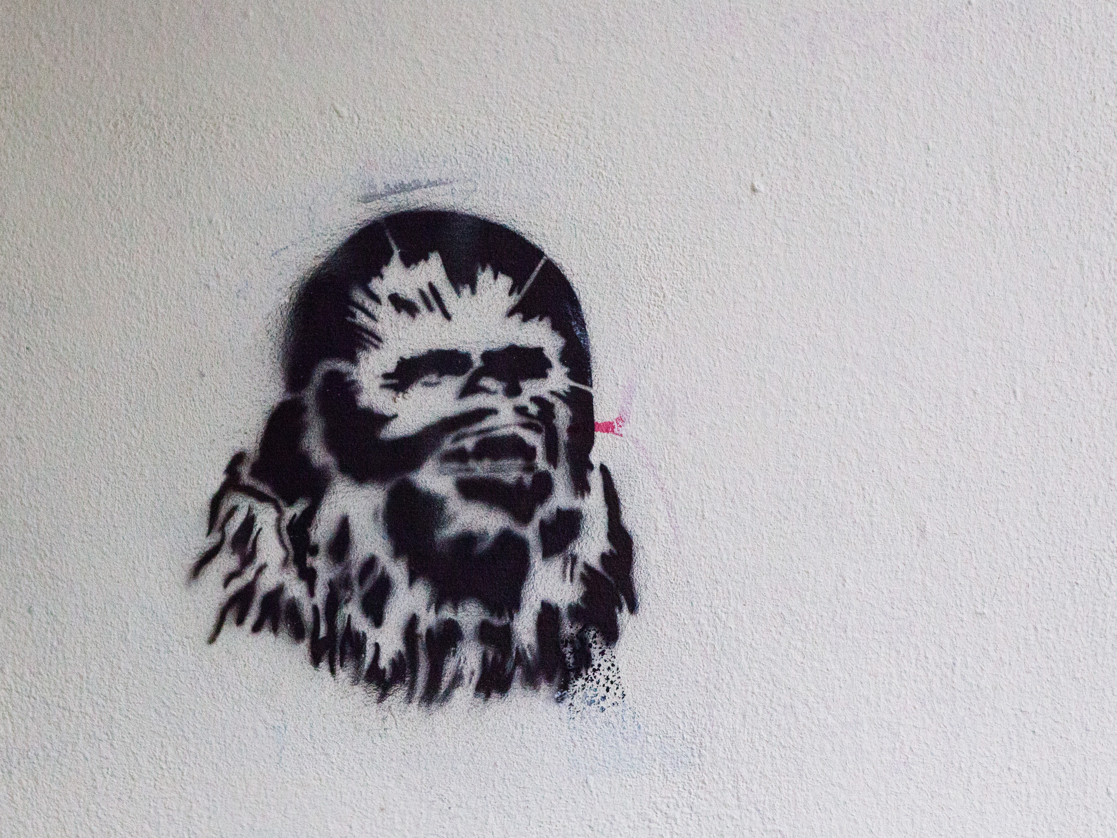 #0297 Chewie